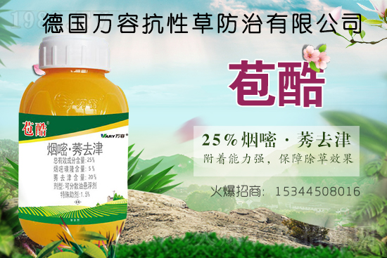 ���ݰ����݄��r(ji��)������2021.8.4