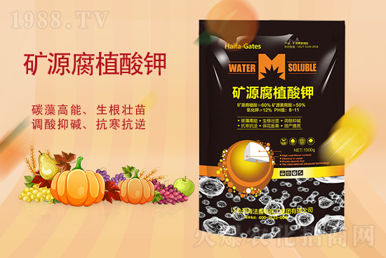 ���@�r�񕺷�(w��n)���������@�r���Ј����飨9��14�գ�