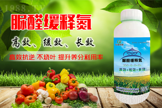 ������؛�����ϼs����ϝq�����؃r(ji��)���(hu��)���׃����