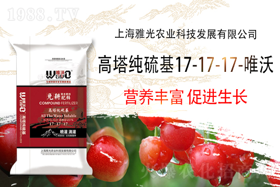 ���B�ď�(f��)�Ϸʃr����2021.9.17�A���؅^(q��)��(f��)�Ϸʃr������