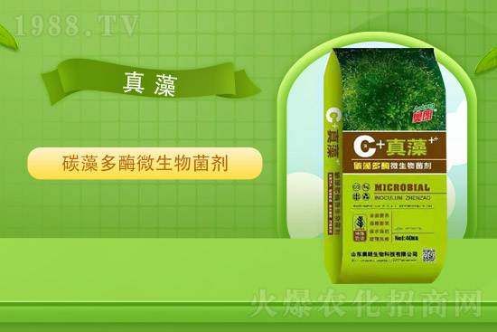 �Ȼ�⛃r��ƽ��(w��n)��2021��9��2�Շ���⛷ʃr���߄�