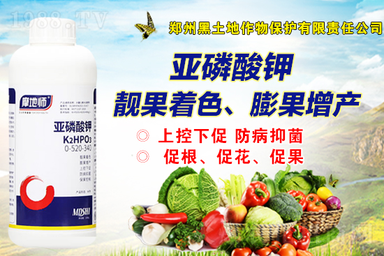 一銨市場(chǎng)報(bào)價(jià)，2021年9月2日磷銨價(jià)格行情