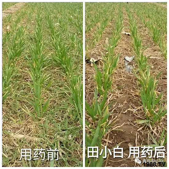 С���s������(ji��)��(ji��)�����E�ɞ�(z��i)����ô�k��С�����݄���ô�x