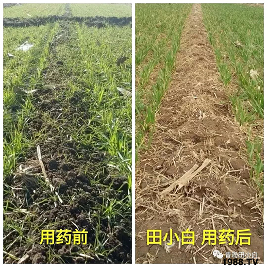 С���s������(ji��)��(ji��)�����E�ɞ�(z��i)����ô�k��С�����݄���ô�x