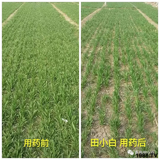 С���s�ݣ���(ji��)��(ji��)�����E�ɞ�(z��i)����ô�k��С�����݄���ô�x