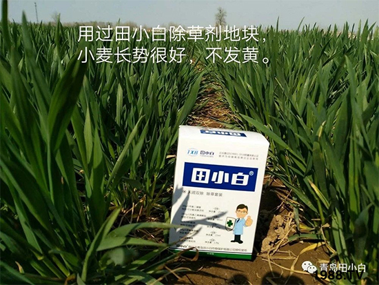 С���s������(ji��)��(ji��)�����E�ɞ�(z��i)����ô�k��С�����݄���ô�x