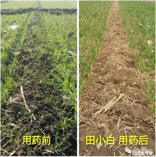 ��(ji��)��(ji��)��Σ����(y��n)����ô������ʲôˎ��Ч������