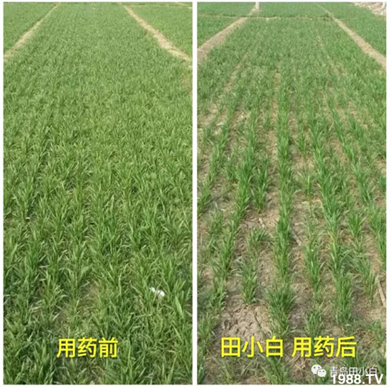 ��(ji��)��(ji��)��Σ����(y��n)����ô����ʲôˎ��Ч������