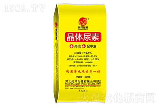 2022��2��11�ո��؅^(q��)���؃r�������Ո�