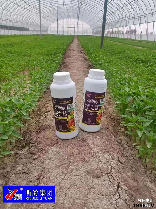 �����仨����������Ͳ��ü������l(f��)���ܣ��ٻ����������E���@��