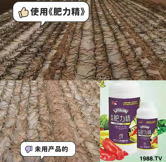 �����仨����������Ͳ��ü������l(f��)�������ٻ����������E���@��