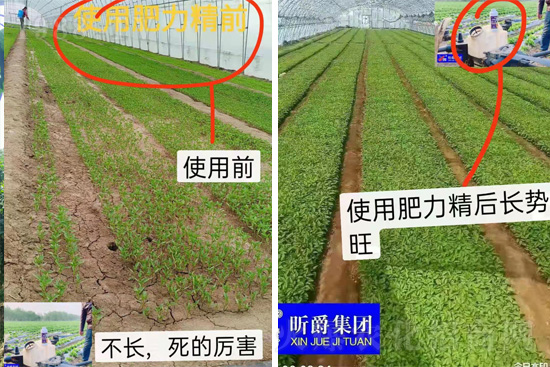 �����仨����������Ͳ��ü������l(f��)�������ٻ����������E���@��