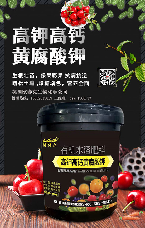 һ���S�����=�����������������ЙC(j��)�����S����⛞�����������