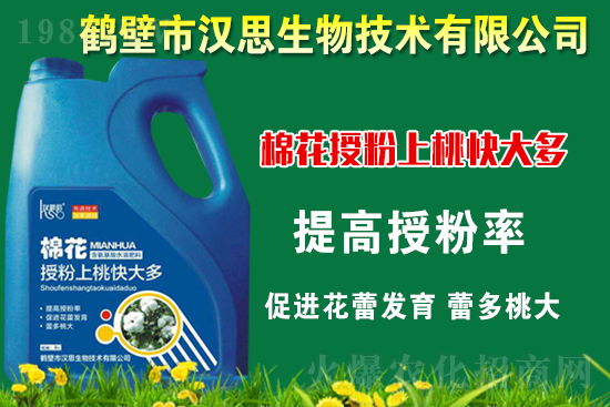 �޻��Nֲ��ô�������޻������L(zh��ng)�ڹ���Ҫ�c(di��n)