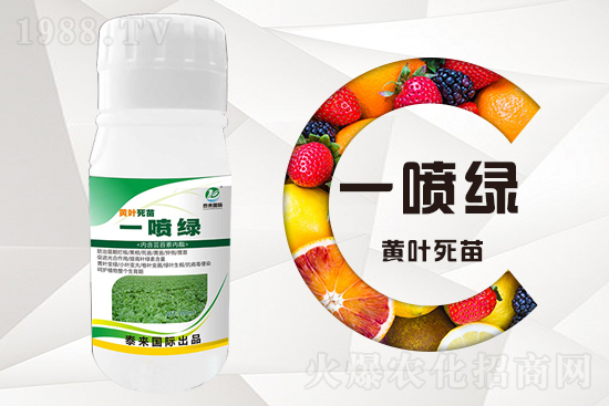 �����߲������ʲô������������ô��Q��