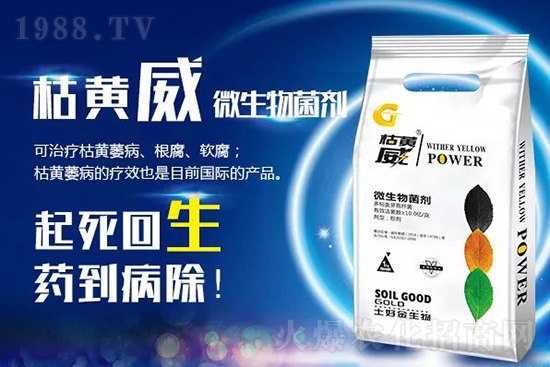 ���Sή�����ݵȲ������Ӝ皢�������͉�����