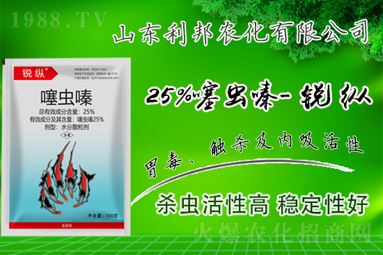 �r(n��ng)ˎ�r��