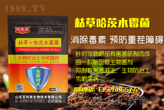 ���������l(f��)��ô��������������ʲôˎ�÷���Ч������