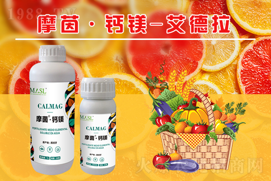 �����a(b��)�}�S���ځ���������a(b��)���}�V����