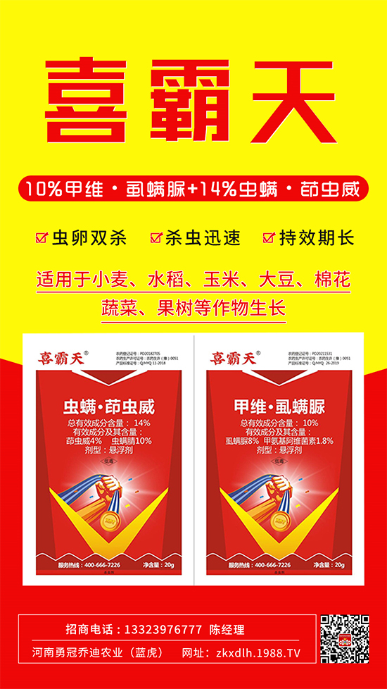 С�˶��������xΣ����̫�y�����@����ˎ��һ��һ����(zh��n)!