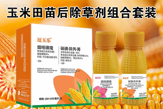 ���׳��݄���ô�������Ч��