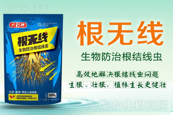 ���Y(ji��)���x�������ך��^�y���@�ӷ���Ч���õ��@����