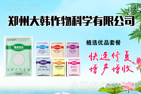 ����ˎ���ʺ��l�l(f��)��ô�k���l(f��)��ˎ���ʺ�����a(b��)�ȣ�