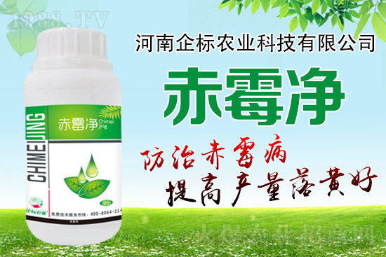 �o�����ѣ�δ��ʮ����С����ù�������P(gu��n)�I������(w��)��ץס��