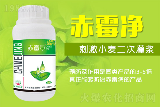 �o�����ѣ�δ��ʮ����С����ù�������P(gu��n)�I������(w��)��ץס��