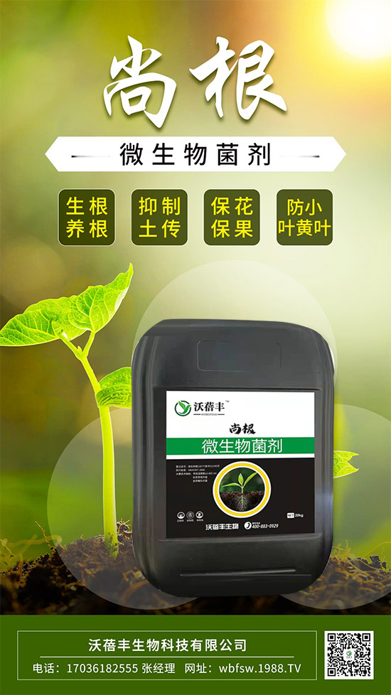 ��ô����׌���������Ѹ������@����׌��������������