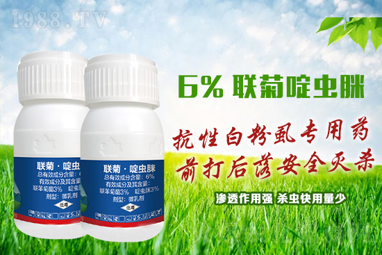 ���԰׷�ʭ�y�����y�Σ��@����ˎ�x���p�������x��