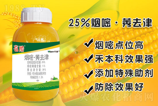 ���׳������e���@�׷N���݄���