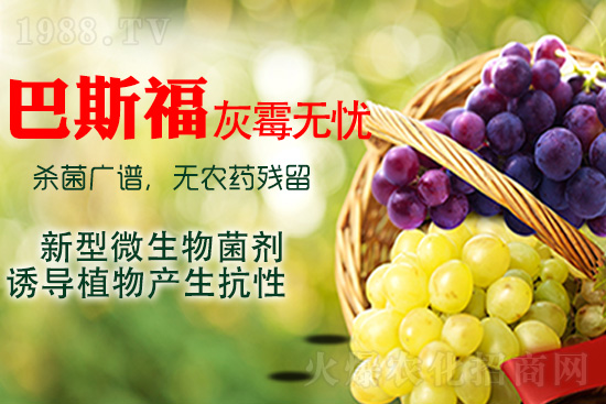 ���ѻ�ù��ԓ��ν�Q����ù����ˎ���h��