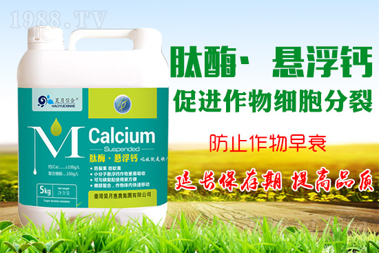 �O���仨���a�}���P�I���O���a�}���Ă��`�^(q��)��֪������