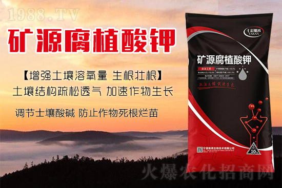 ����Nֲ��������(d��ng)�ׂ��������Ӹ��Ƹ�ϵ��r�أ�