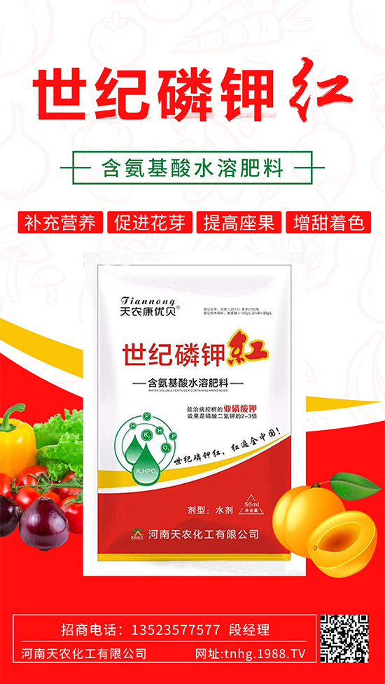 ���������ʲô���������˽����