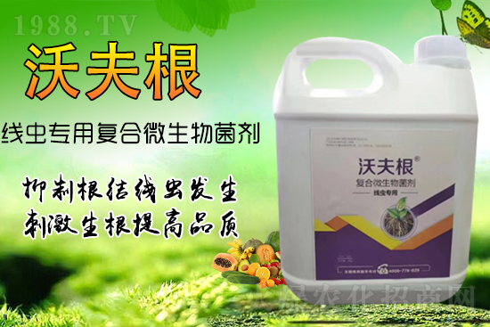 ���Y(ji��)���x��Ⱦ������������������������Ч����!