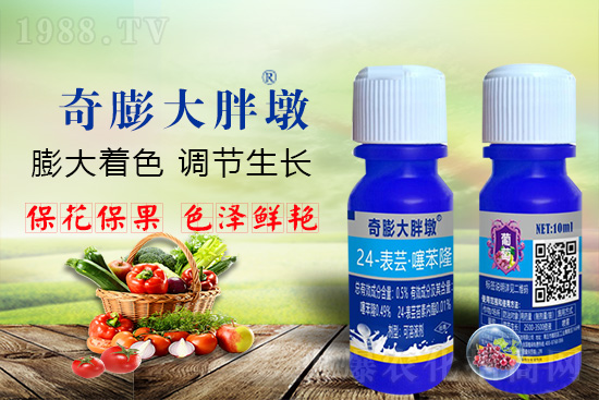     ������Ҫ�߮a(ch��n)��������P(gu��n)�I��������(sh��)���졢�D(zhu��n)ɫ�����u(m��i)��������ڵĮa(ch��n)����Ʒ�|(zh��)����������(l��i)�S��Ĺ��r(n��ng)���r(n��ng)������ӳ�Լҵ���������ס���������������������������������ܛ���չ�����r�l���l(f��)����