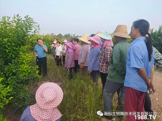 ���M(j��n)���g���^���������ٮa(ch��n)�I(y��)