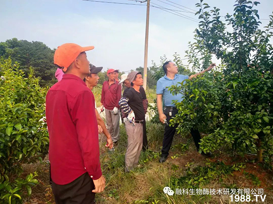 ���M(j��n)���g���^���������ٮa(ch��n)�I(y��)