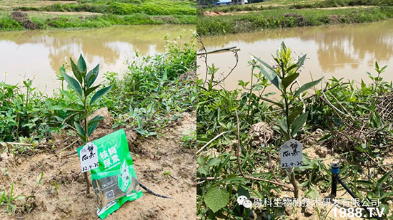 ���M(j��n)���g���^���������ٮa(ch��n)�I(y��)