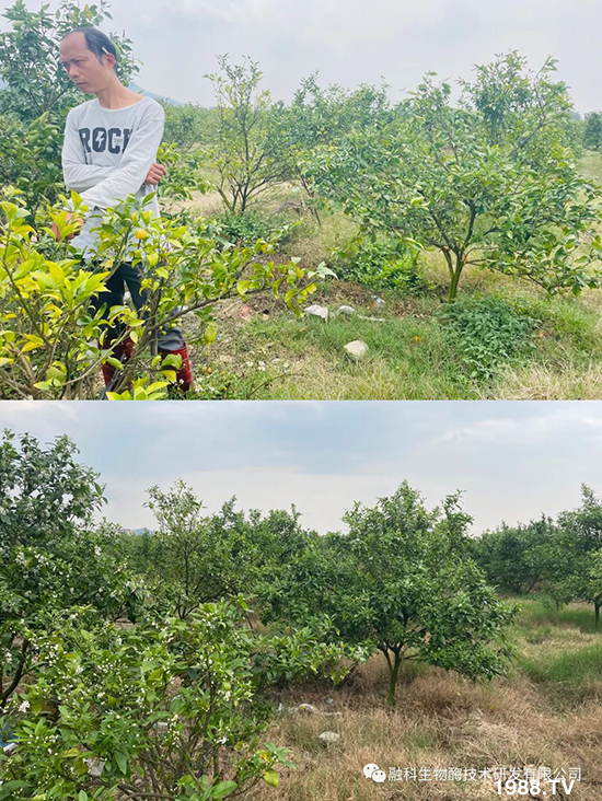 ���M(j��n)���g���^���������ٮa(ch��n)�I(y��)