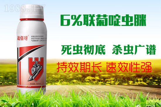 �������x���l(f��)�l��������ע����ǰ�������ׂ�(g��)��(du��)���p�ɸ㶨��