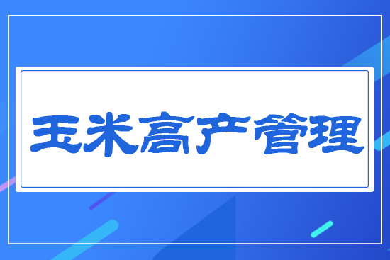 ���׸߮a����