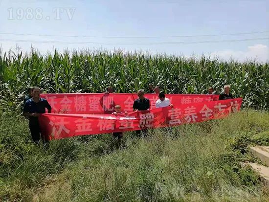     �@�����۷��r(n��ng)�YȦ������ԭ����Ȼ���ͳɱ��߷�Ч�_��(chu��ng)����