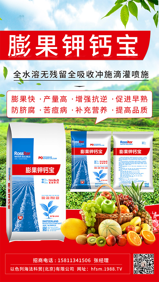 �����M(j��n)�������������������ֵ�����@��(g��)����ֵ�Ó�����