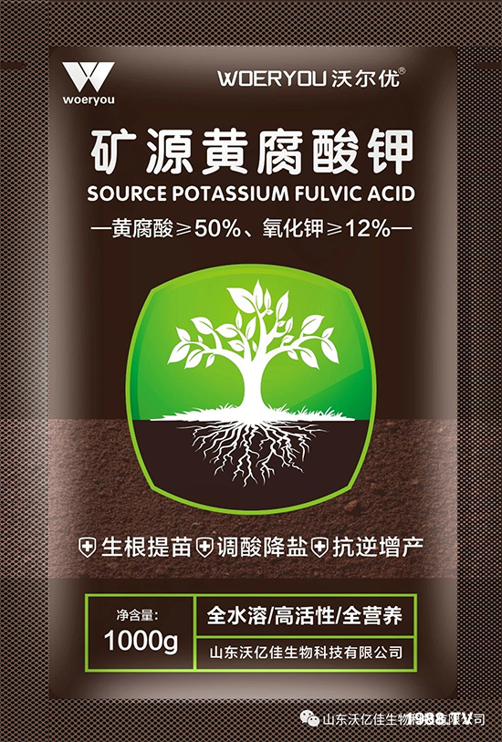 ɽ�|�փ|������Ƽ����޹�˾29