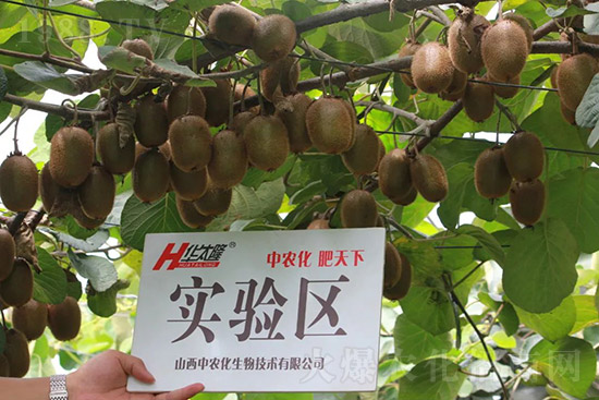 �J����������c(di��n)����Щ���J����������ôʩ