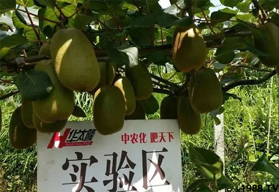 �J���Ҹ߮aʩ�ʷ���