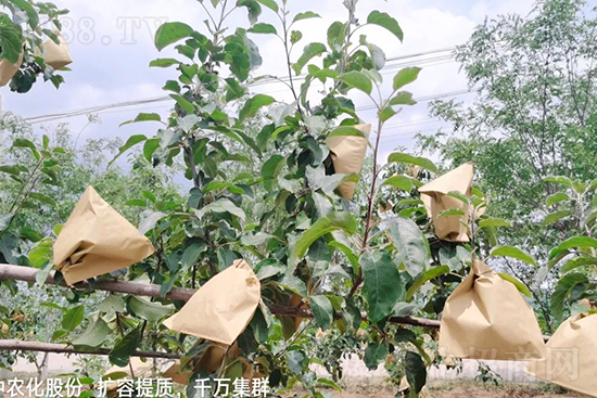     �����״���ɜp���rˎ���������ƹ��ӵ����^Ʒ�|���ɴ����߹�Ʒ�u���������׳��۲��u���߃r�����Թ����״�Ŀǰ��Ȼ���҇����@����Ҫ�����������״��O��������Ǻã�Ҳ�ٲ�����